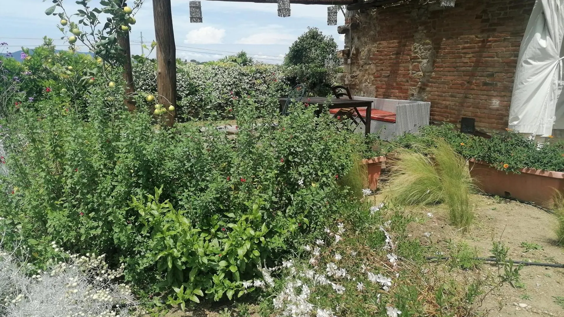 Apartment Affitti Brevi Toscana - Ospitalita In Campagna Talamone